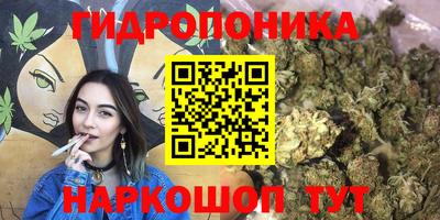 эйфоретик Обнинск