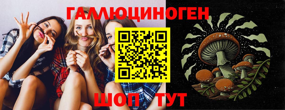 Псилоцибиновые грибы прущие грибы Тамбов