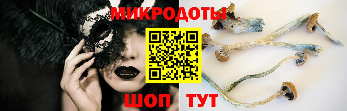 Тамбов  Псилоцибиновые грибы Psilocybe  Псилоцибиновые грибы ЛСД  Вход с VPN 